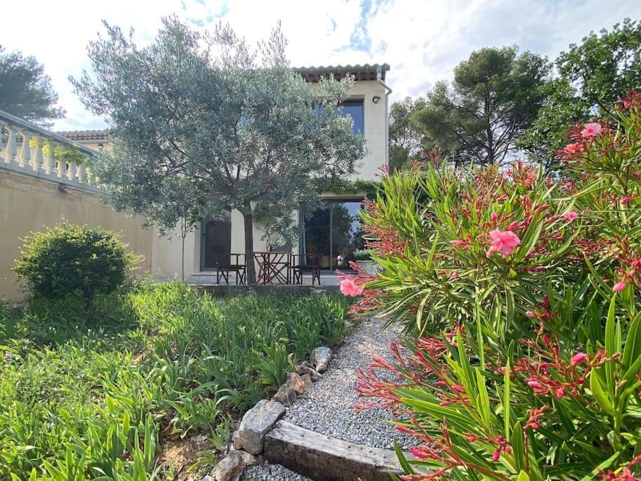 Lis Estello - Gite A Flayosc Var Exterior photo